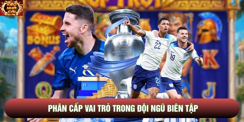 Phân cấp vai trò trong đội ngũ biên tập