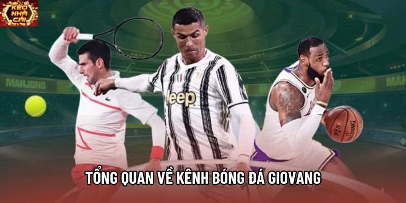 Tổng quan về kênh bóng đá Giovang Tổng quan về kênh bóng đá Giovang